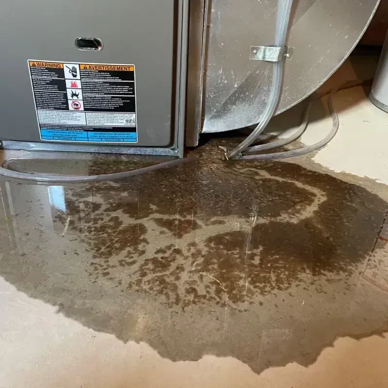 Appliance Leak Cleanup in Westlake, LA